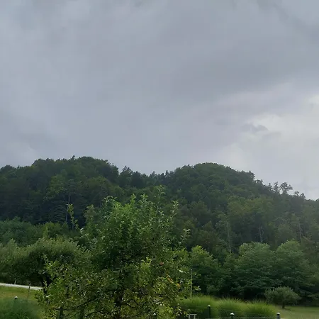 Pr Dolenc Apartman *