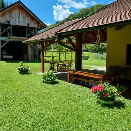 Pr Dolenc アパート Petrovče