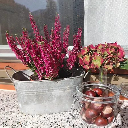 Pr Dolenc アパート