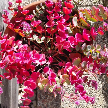 アパート Pr Dolenc