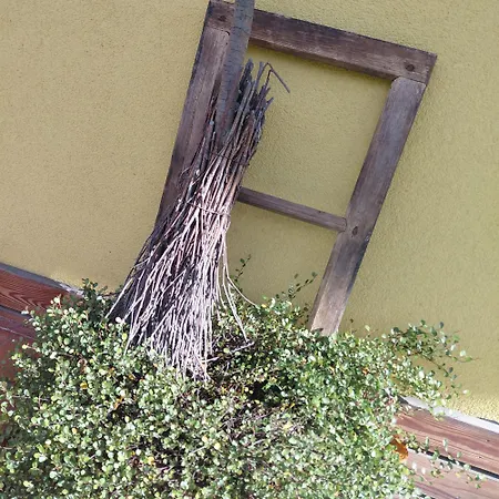 Pr Dolenc Apartamento *