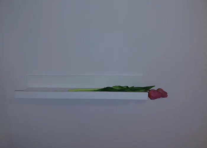 Appartamento Pr Dolenc Petrovče