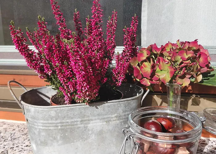 Pr Dolenc Appartamento