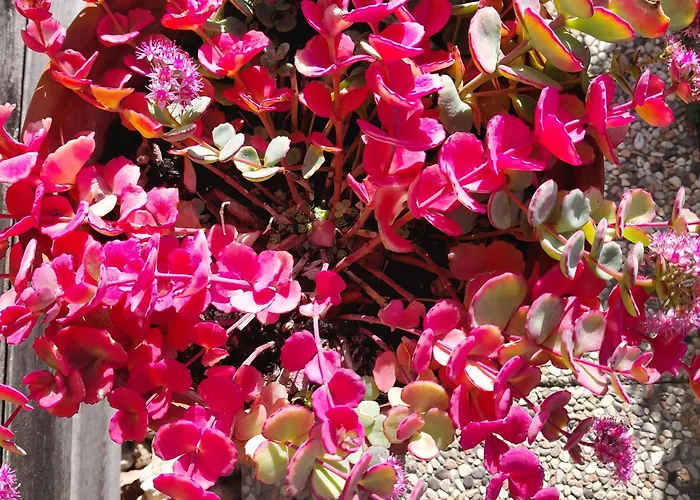 Appartamento Pr Dolenc